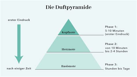 der duft pyramid parfum.